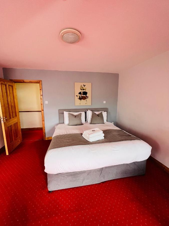Dingle Marina Lodge Zewnętrze zdjęcie