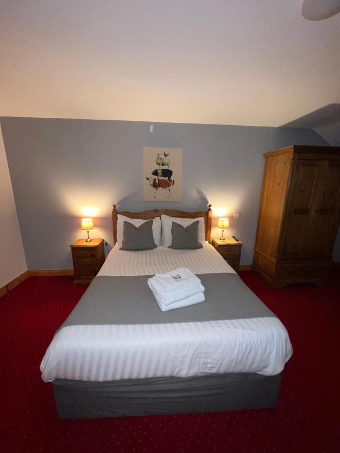 Dingle Marina Lodge Zewnętrze zdjęcie