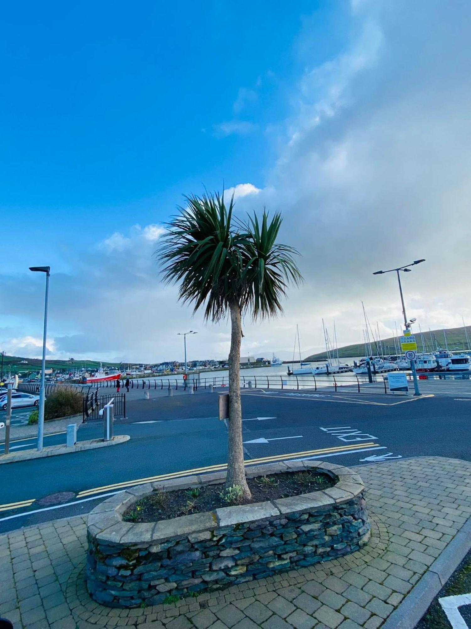 Dingle Marina Lodge Zewnętrze zdjęcie