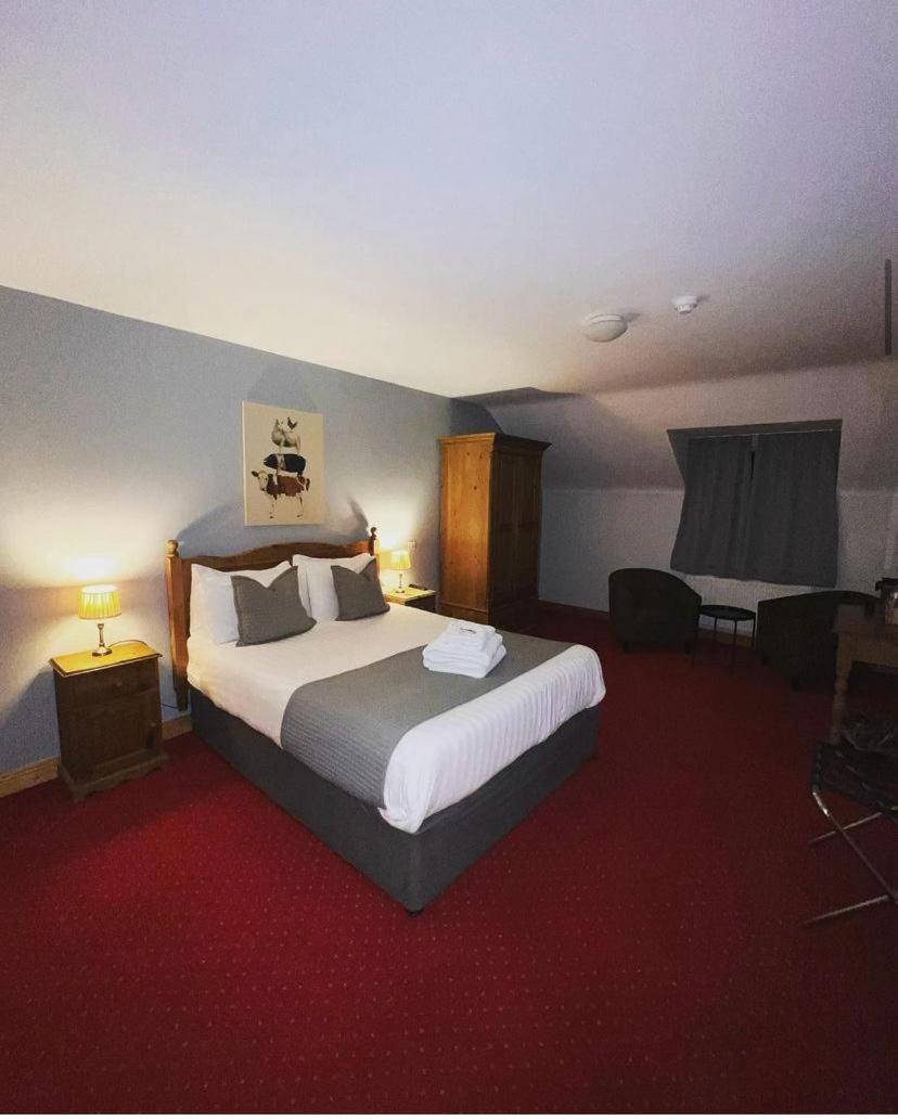 Dingle Marina Lodge Zewnętrze zdjęcie